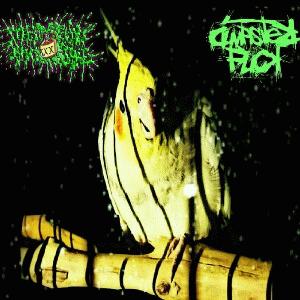 Menstrual Moonshine : Bird in Space